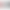 公牛